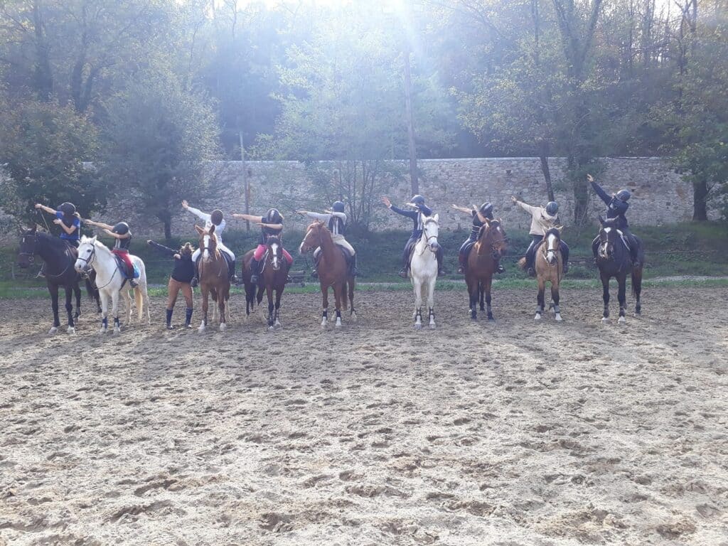 Stage d'équitation